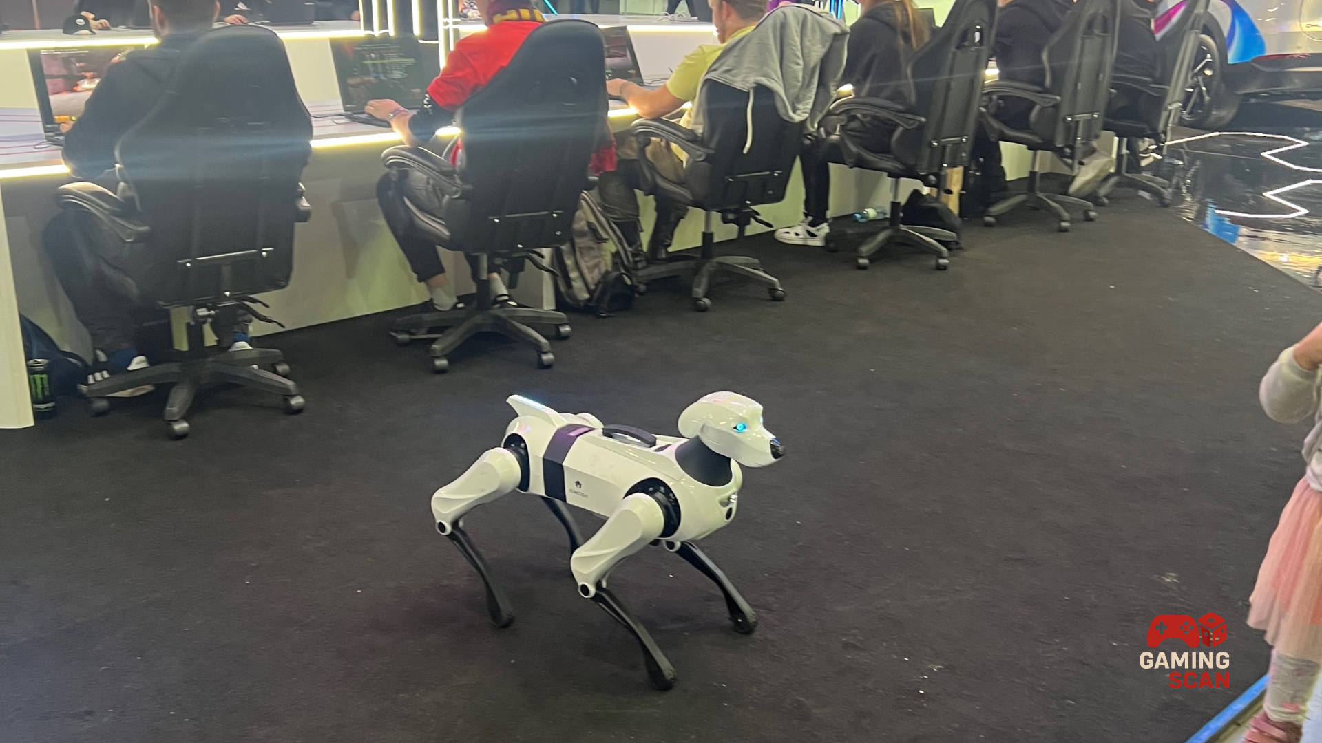 Robopies – inteligentny towarzysz przyszłości technologii